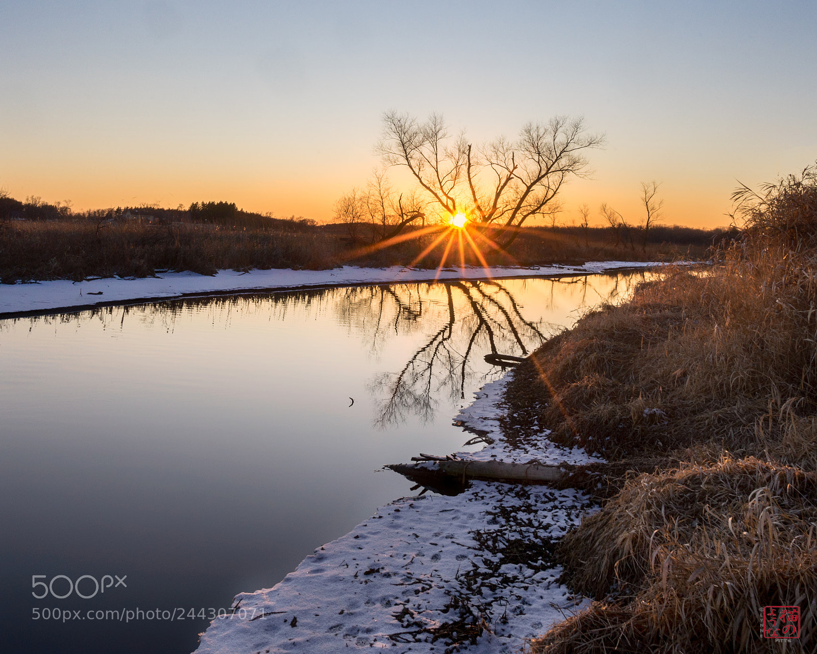 Sony a7 sample photo. Reflecting sun photography