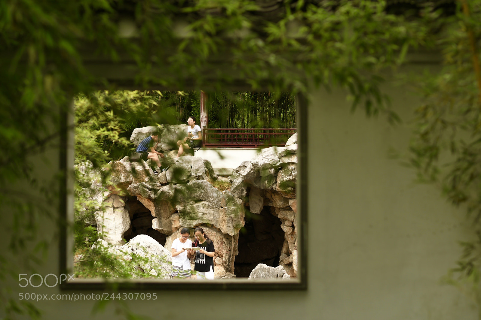 Nikon D5 sample photo. Window of life photography