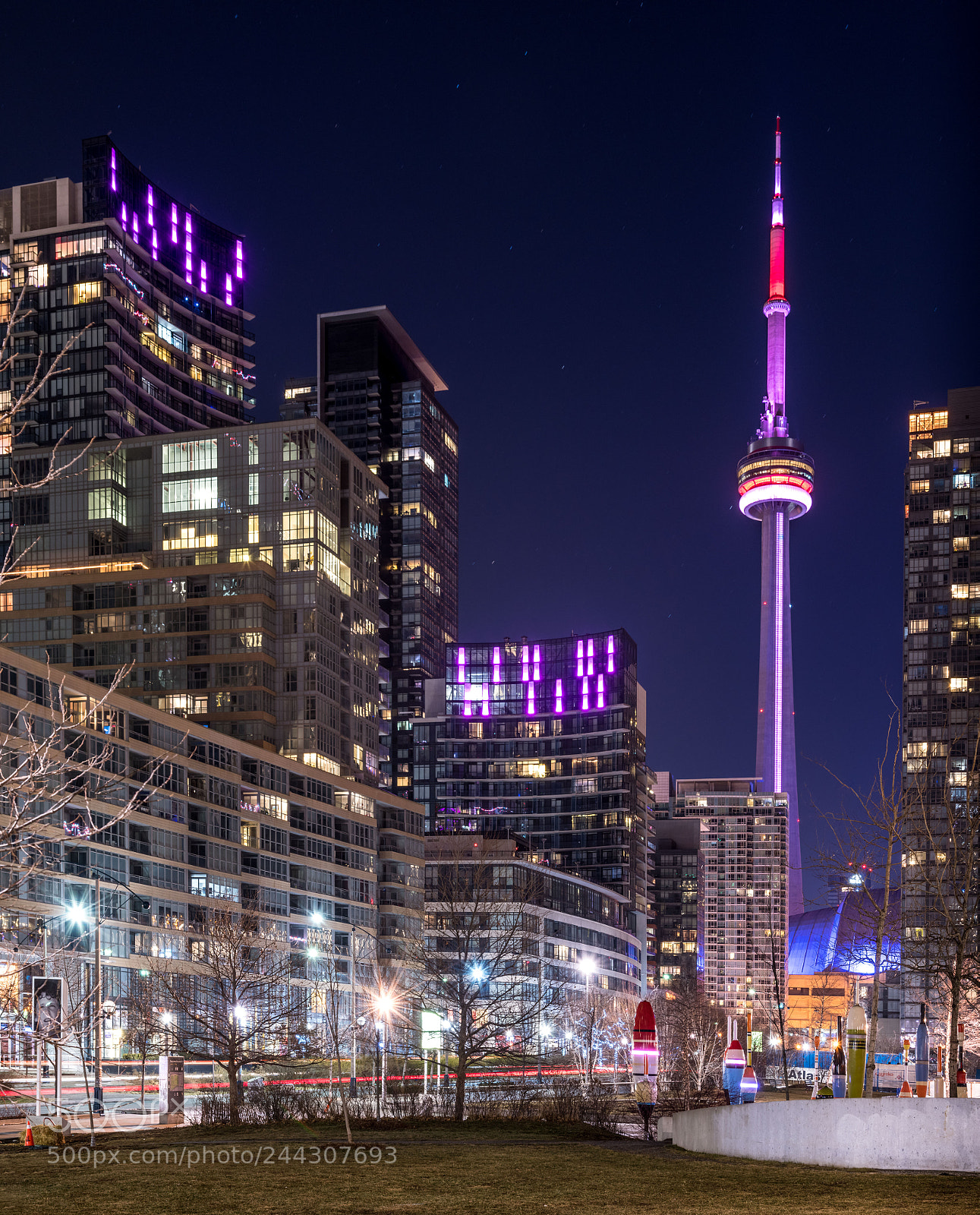 Nikon D850 sample photo. Cn tower by night photography