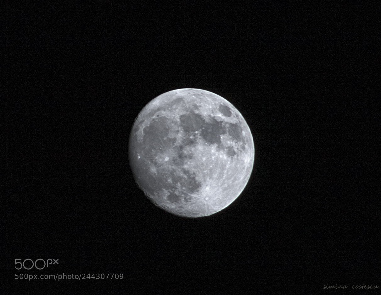 Canon EOS 50D sample photo. Mood photography