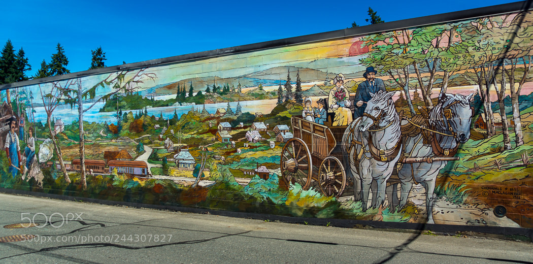 Sony SLT-A65 (SLT-A65V) sample photo. Mural. photography