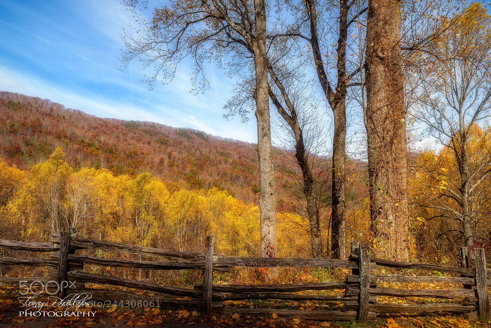 Nikon D810 sample photo. Fighting creek gap photography
