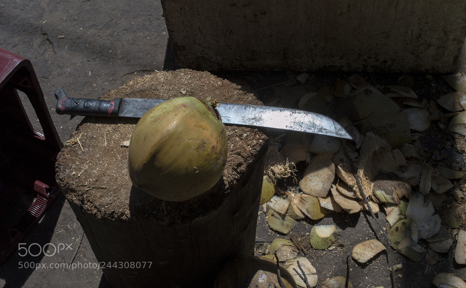 Nikon D3200 sample photo. Pipa photography