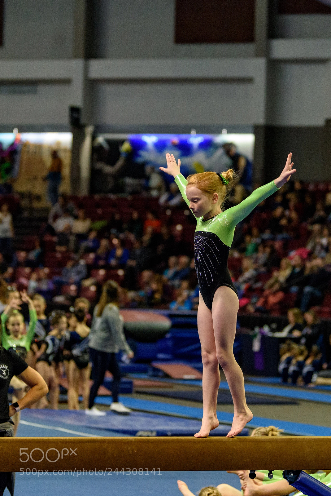 Nikon D810 sample photo. Gymnast at gem state photography
