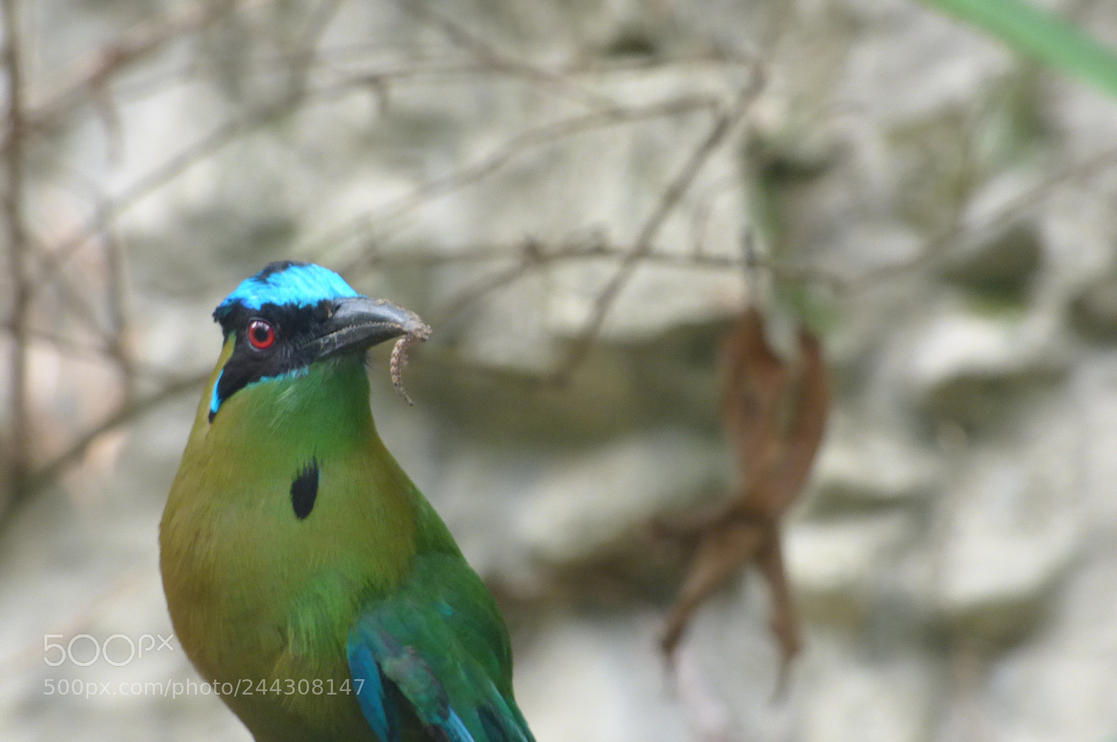 Panasonic Lumix DMC-FZ70 sample photo. Cali () photography
