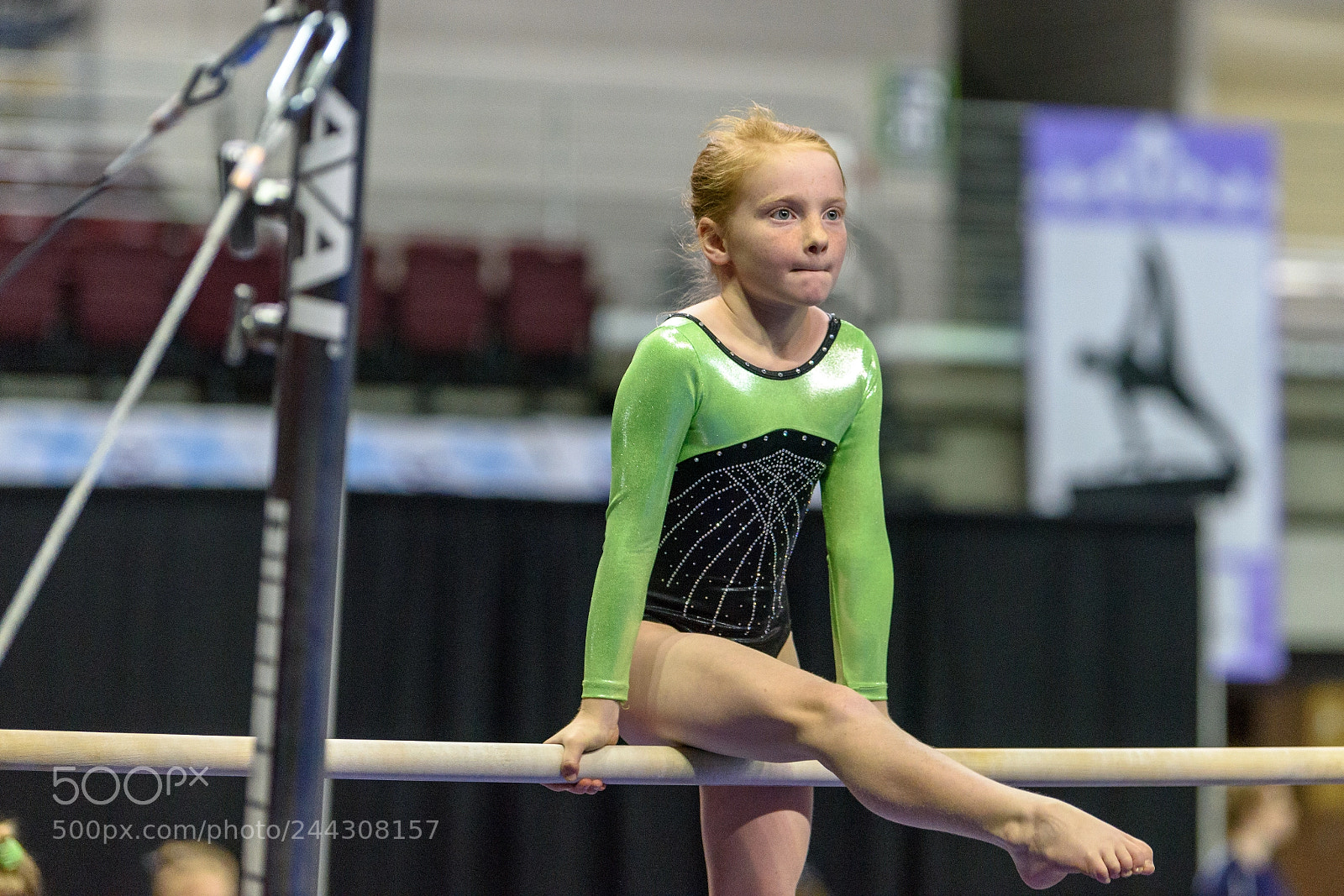 Nikon D810 sample photo. Gymnast at gem state photography