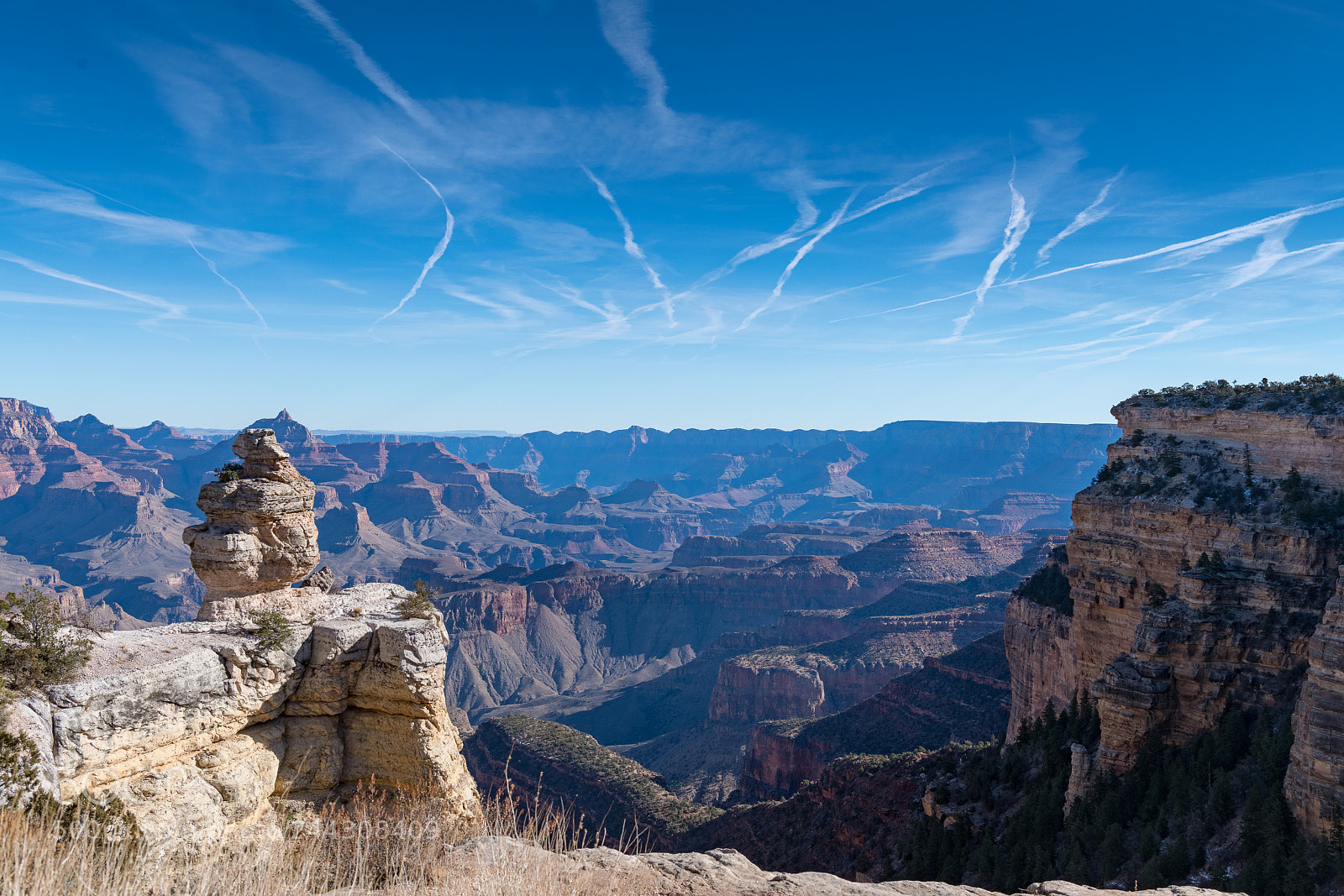 Nikon D850 sample photo. Grand canyon from moran photography
