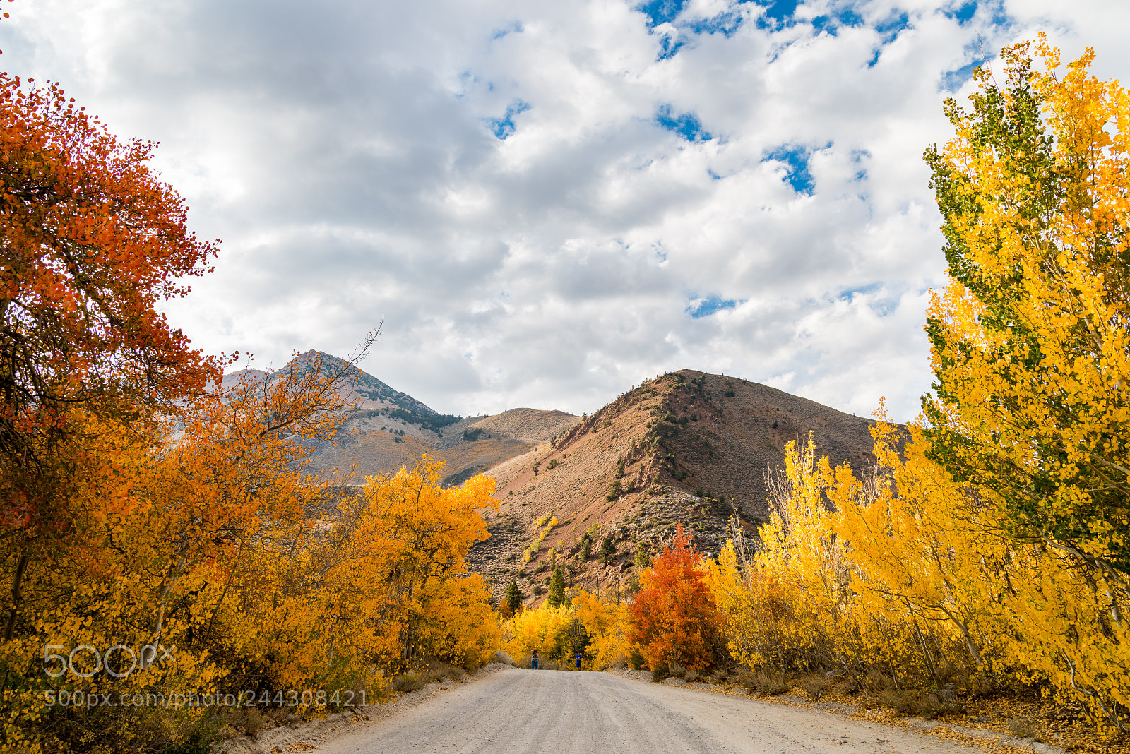 Nikon D800E sample photo. North lake, bishop, ca photography