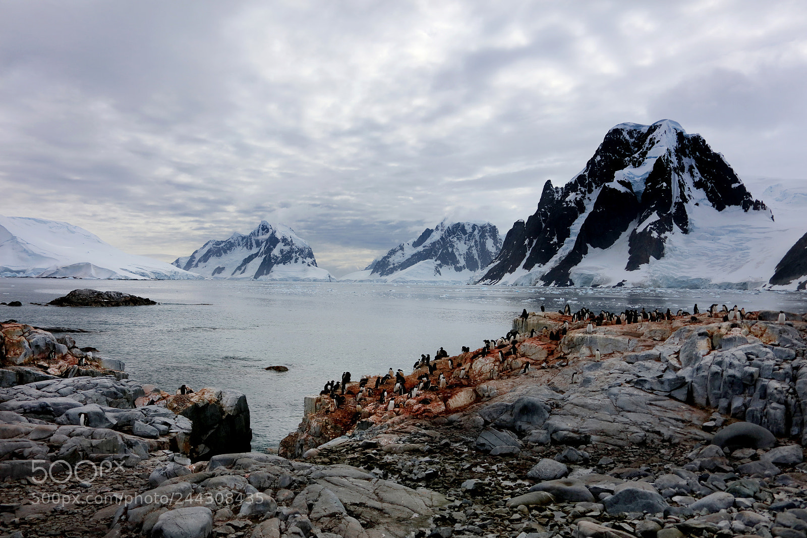 Canon EOS 5DS R sample photo. Antarctica9 photography