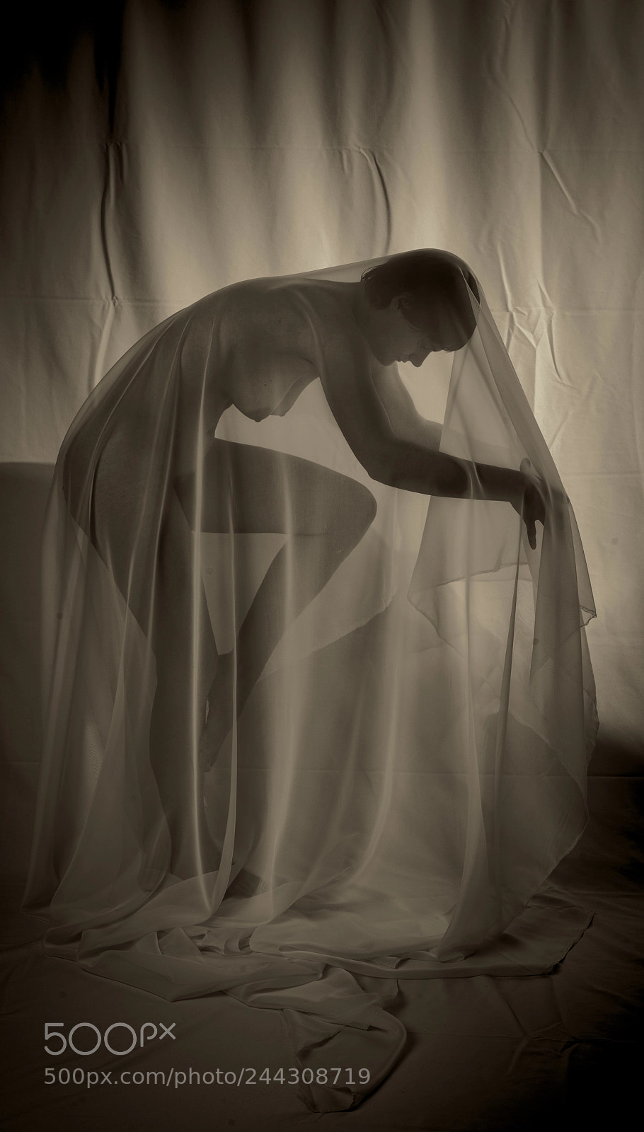 Nikon D800 sample photo. Veiled photography