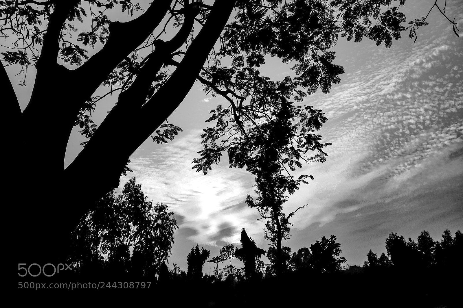 Fujifilm X-T1 sample photo. Untitled photography