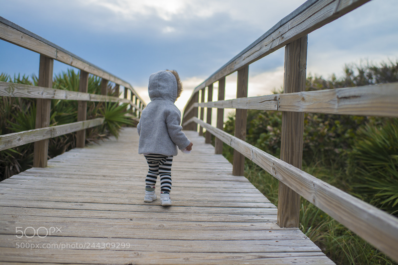 Nikon D800 sample photo. Explore the world photography