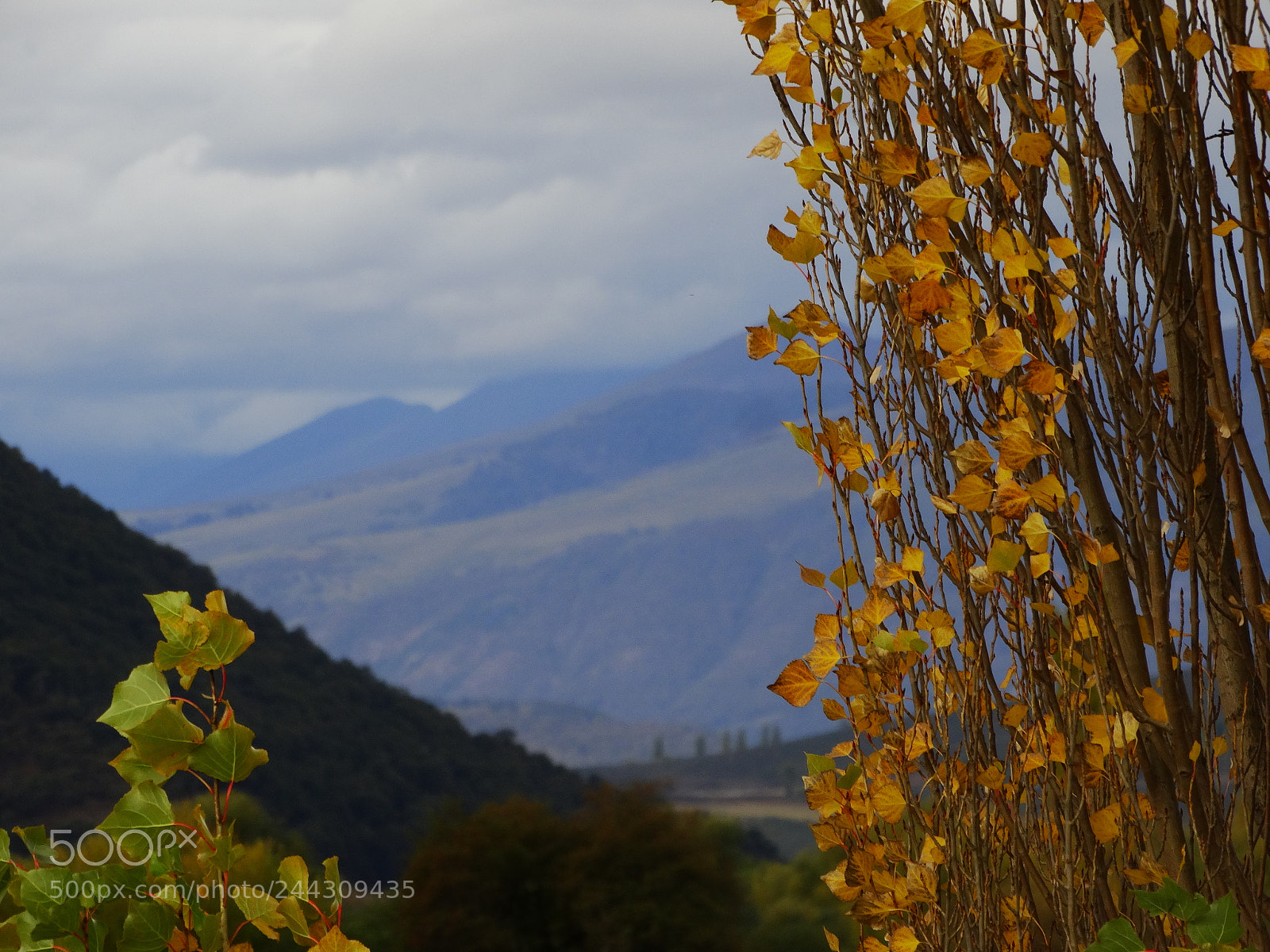 Sony Cyber-shot DSC-HX300 sample photo. Dsc photography