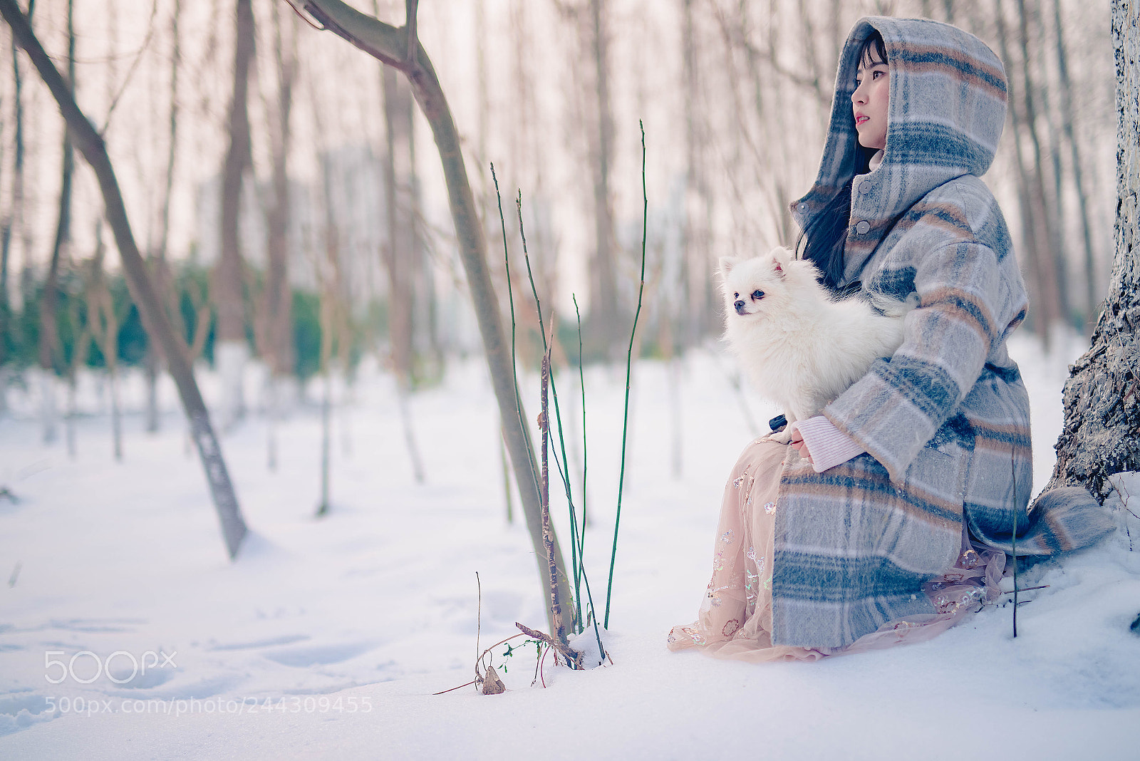 Nikon D800 sample photo. 冬日暖阳 photography