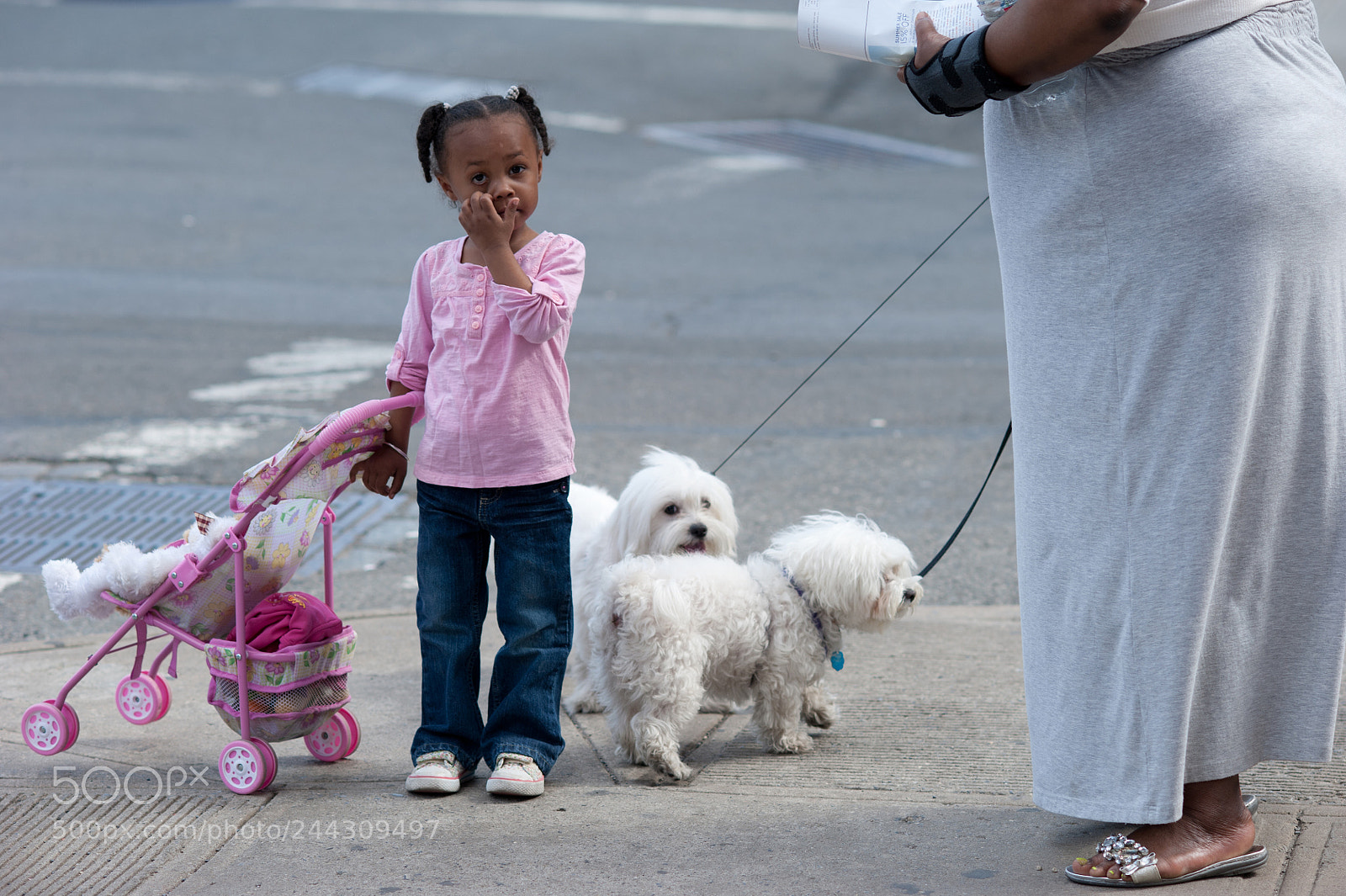 Nikon D700 sample photo. The pink girl with photography