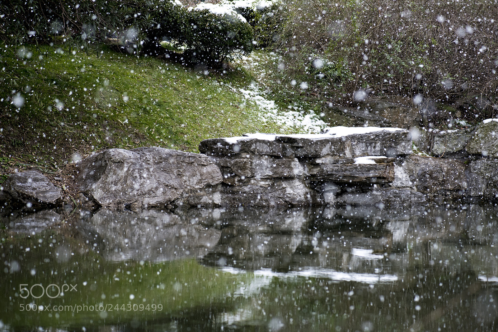 Nikon D810 sample photo. Snow photography
