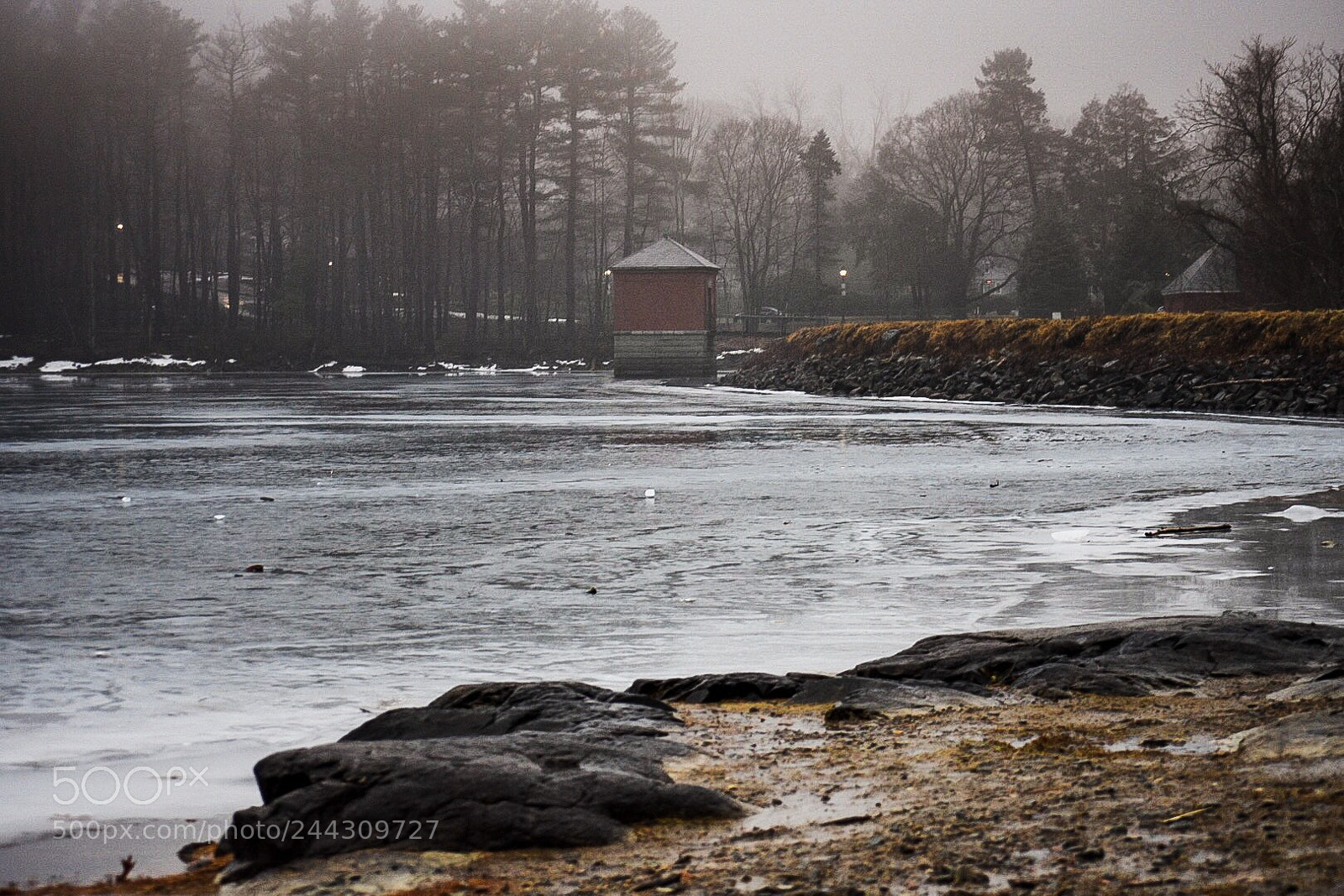 Nikon D7200 sample photo. Misty afternoon photography