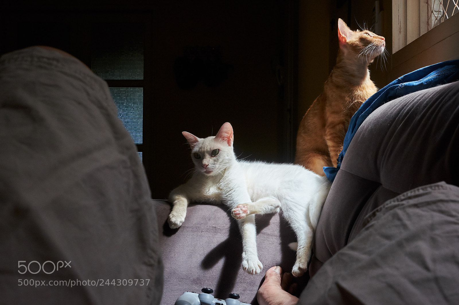 Fujifilm X-T10 sample photo. Holidays (1st day) photography