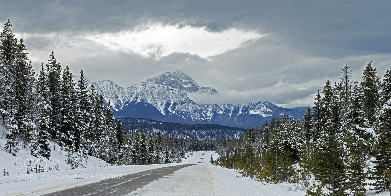 Nikon D3200 sample photo. Winter road in the photography