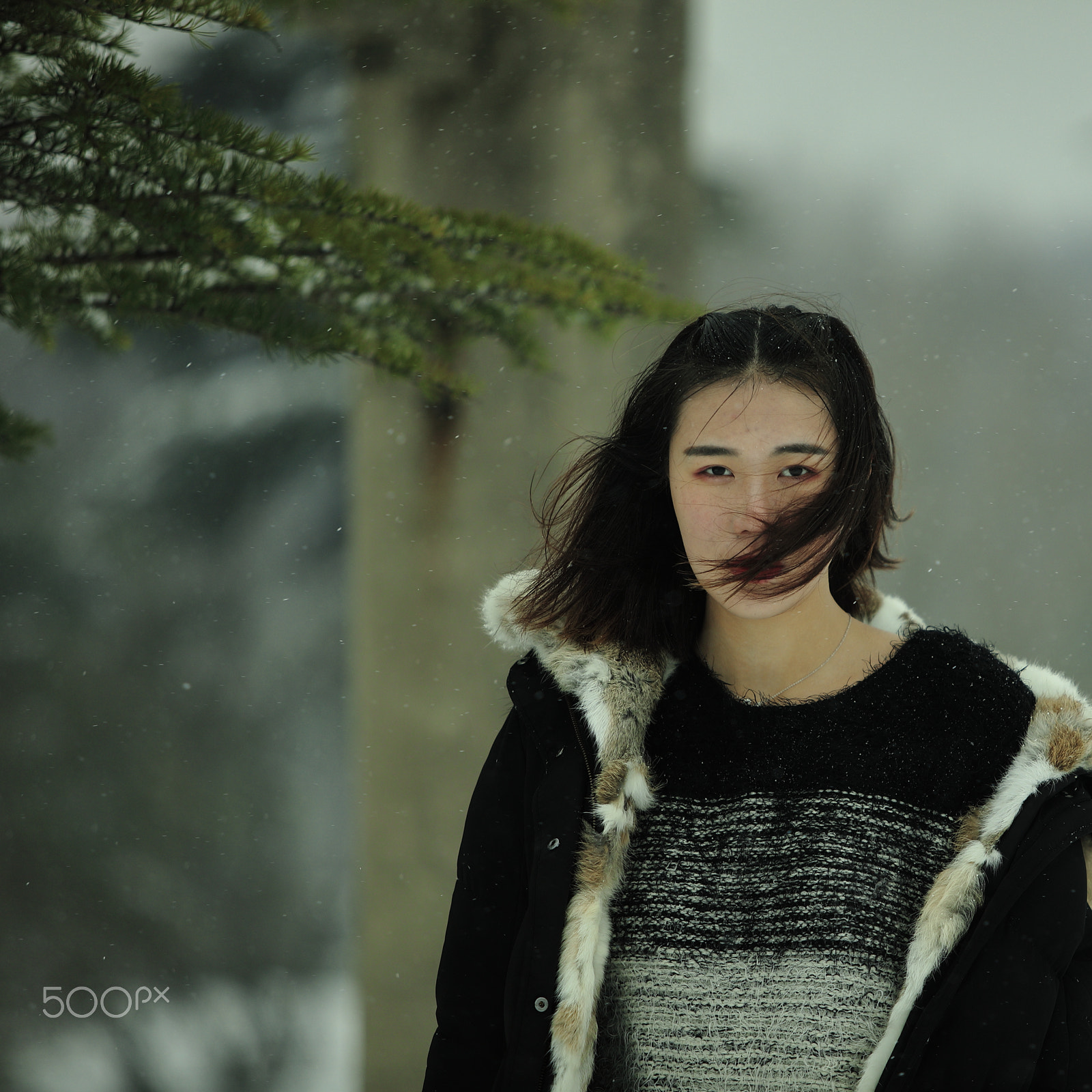 Canon EOS 5DS R + Canon EF 70-200mm F2.8L USM sample photo. 雪中 photography