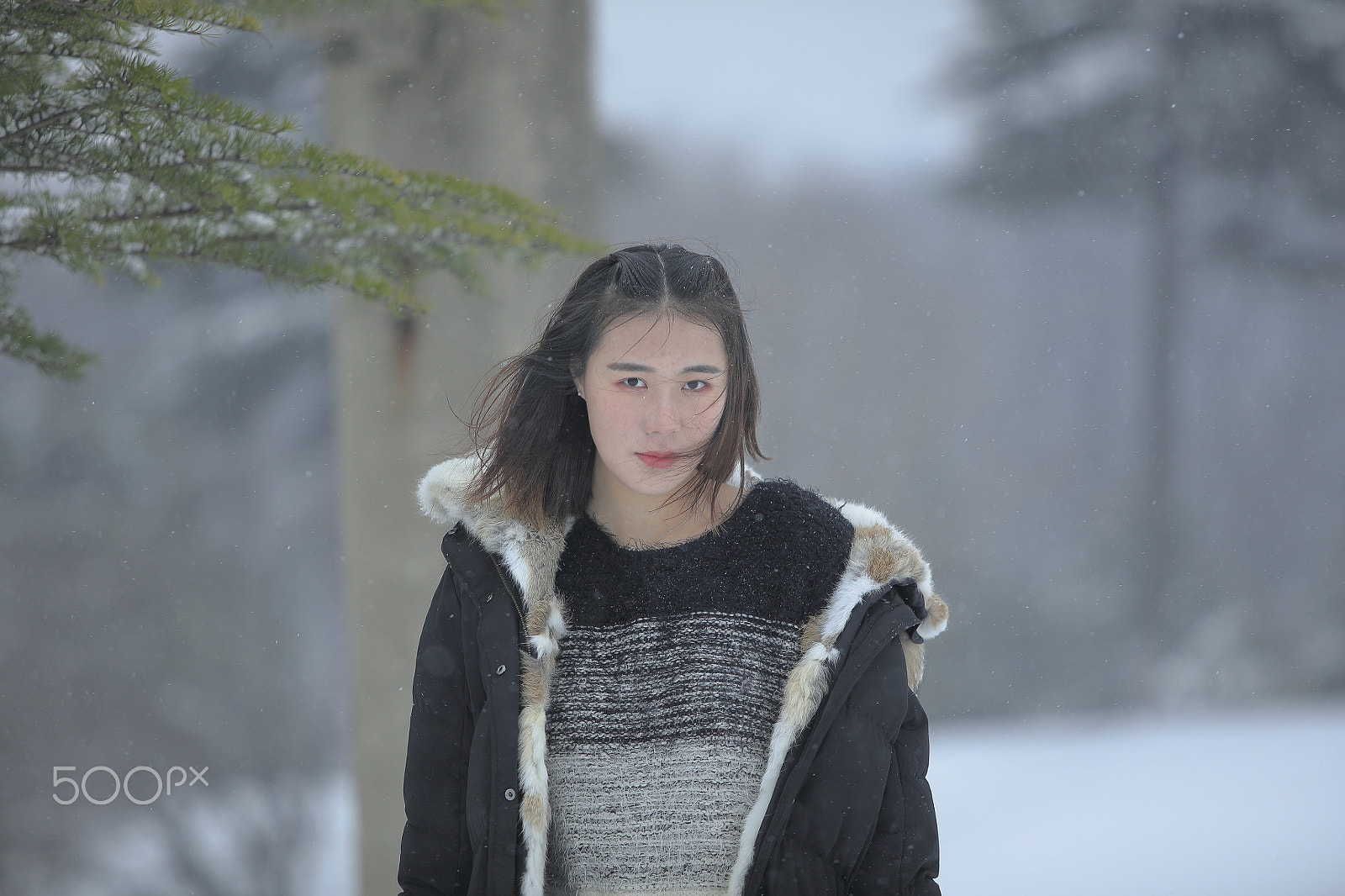Canon EF 70-200mm F2.8L USM sample photo. 夺人心魄 photography