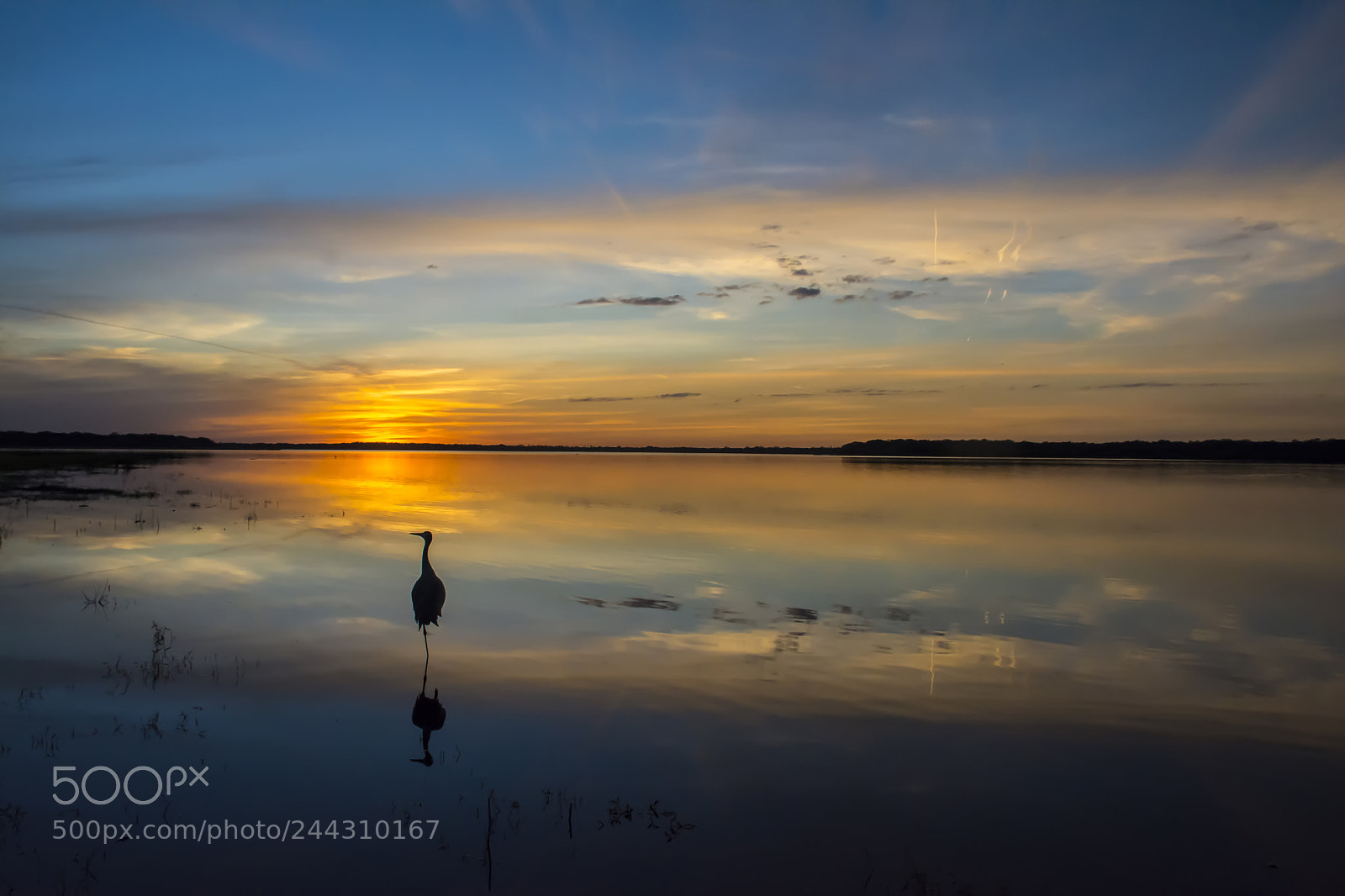 Nikon D7100 sample photo. Myakka sunset photography
