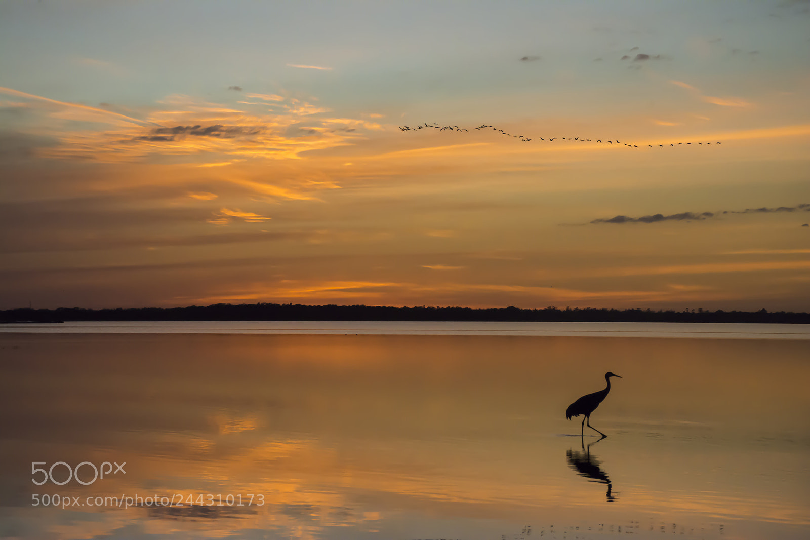 Nikon D7100 sample photo. Myakka sunset photography
