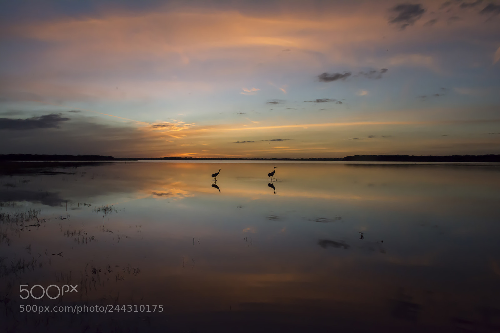 Nikon D7100 sample photo. Myakka sunset photography