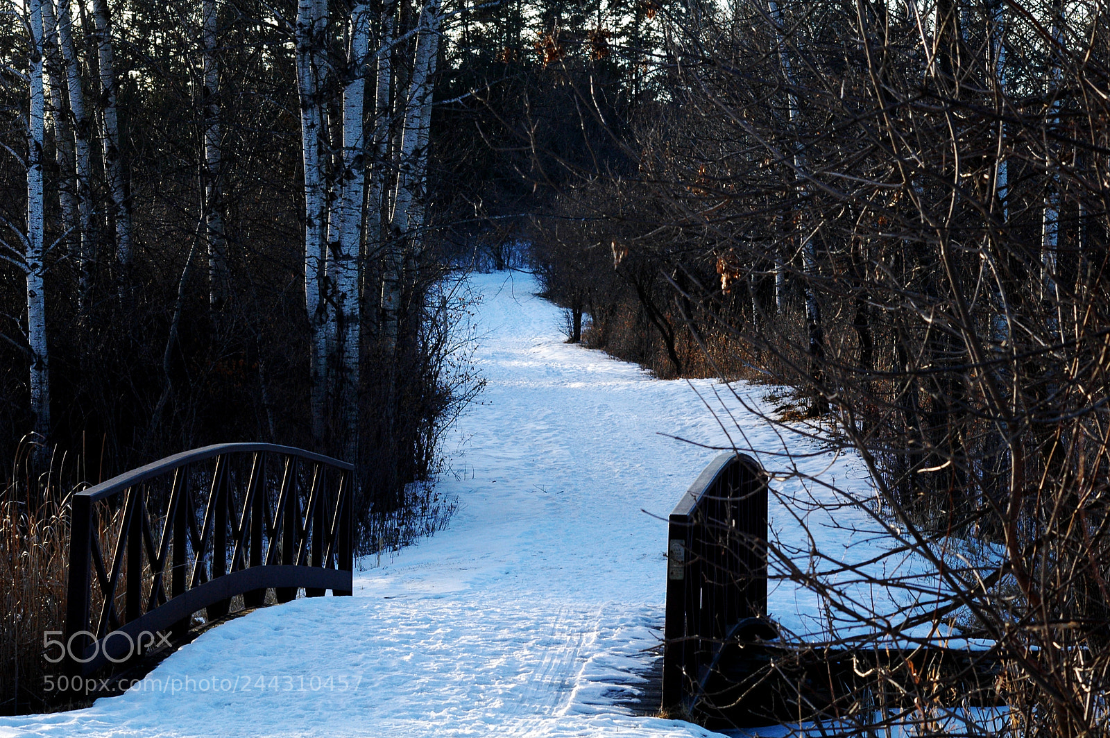 Nikon D70 sample photo. Snow path photography