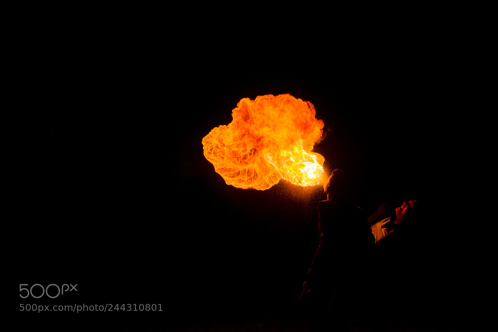 Nikon D3100 sample photo. Fire performance at corporate photography