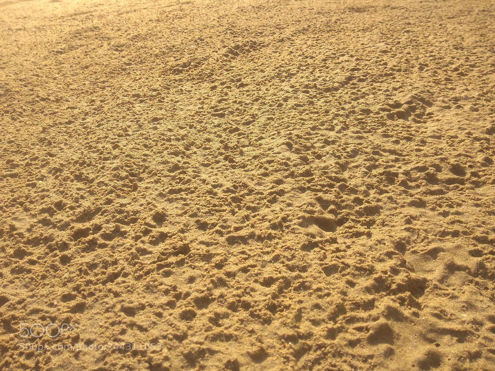 Motorola Moto G (5S) Plus sample photo. Desert after rain photography