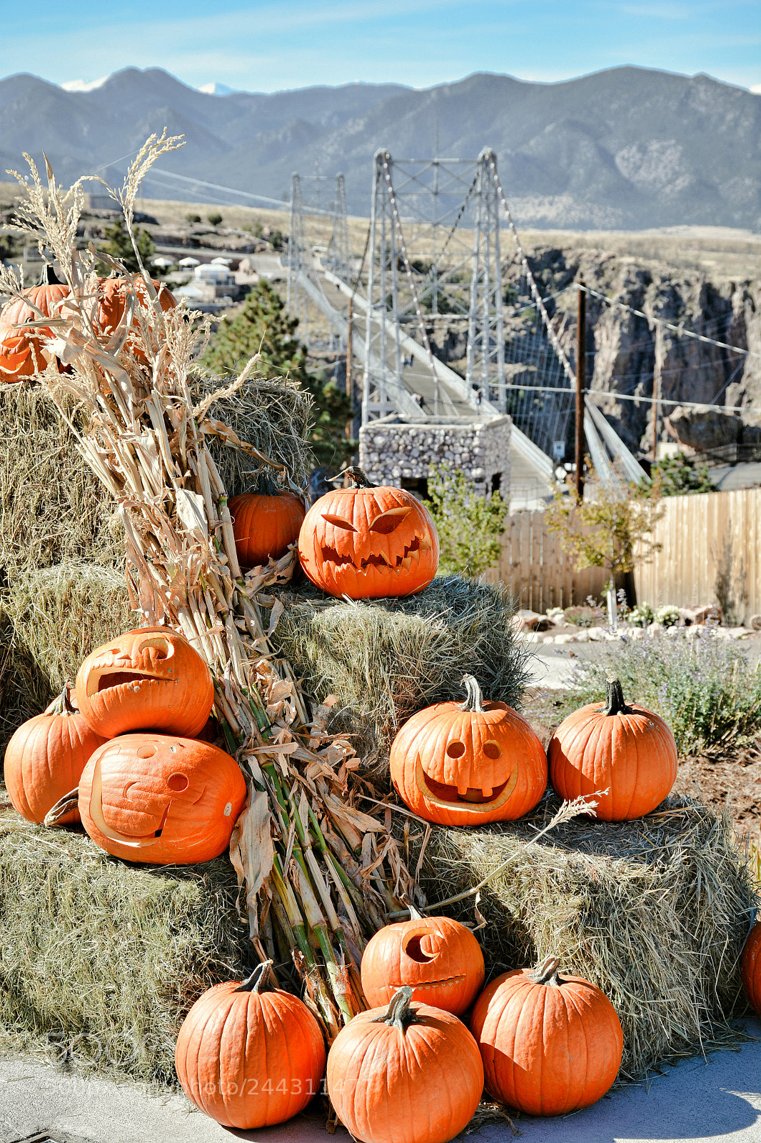 Nikon D7100 sample photo. Royal gorge bridge and photography