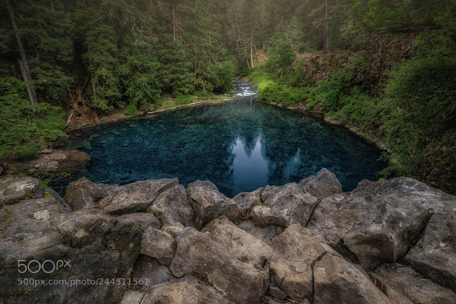 Sony a7R II sample photo. Feeling blue photography
