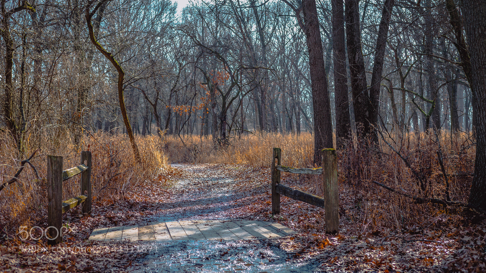 Leica M (Typ 240) sample photo. Gateway photography
