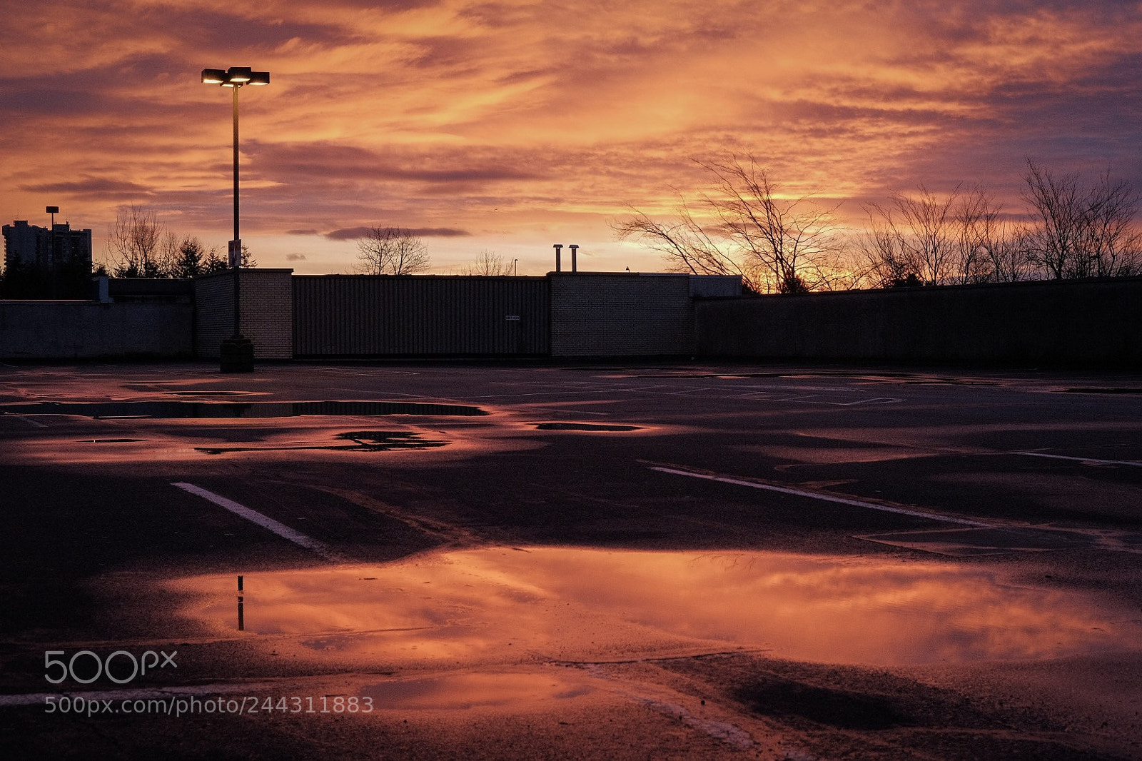 Fujifilm X-T1 sample photo. Morning commute 003 photography