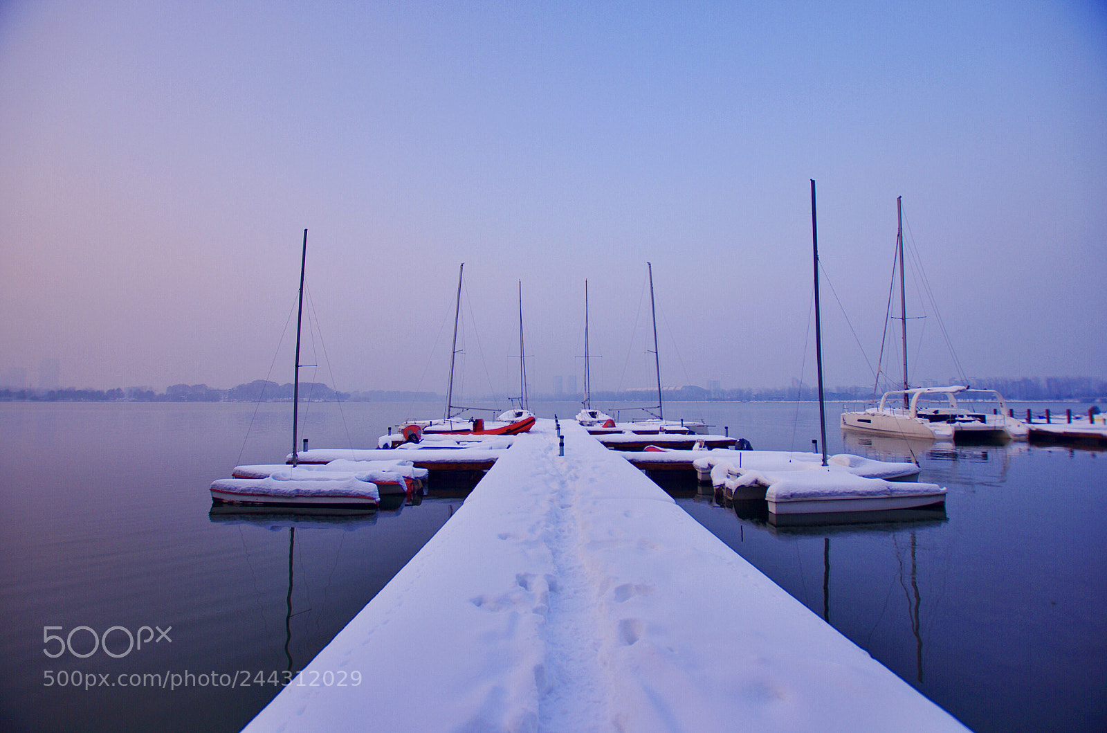 Pentax K-5 sample photo. Untitled photography