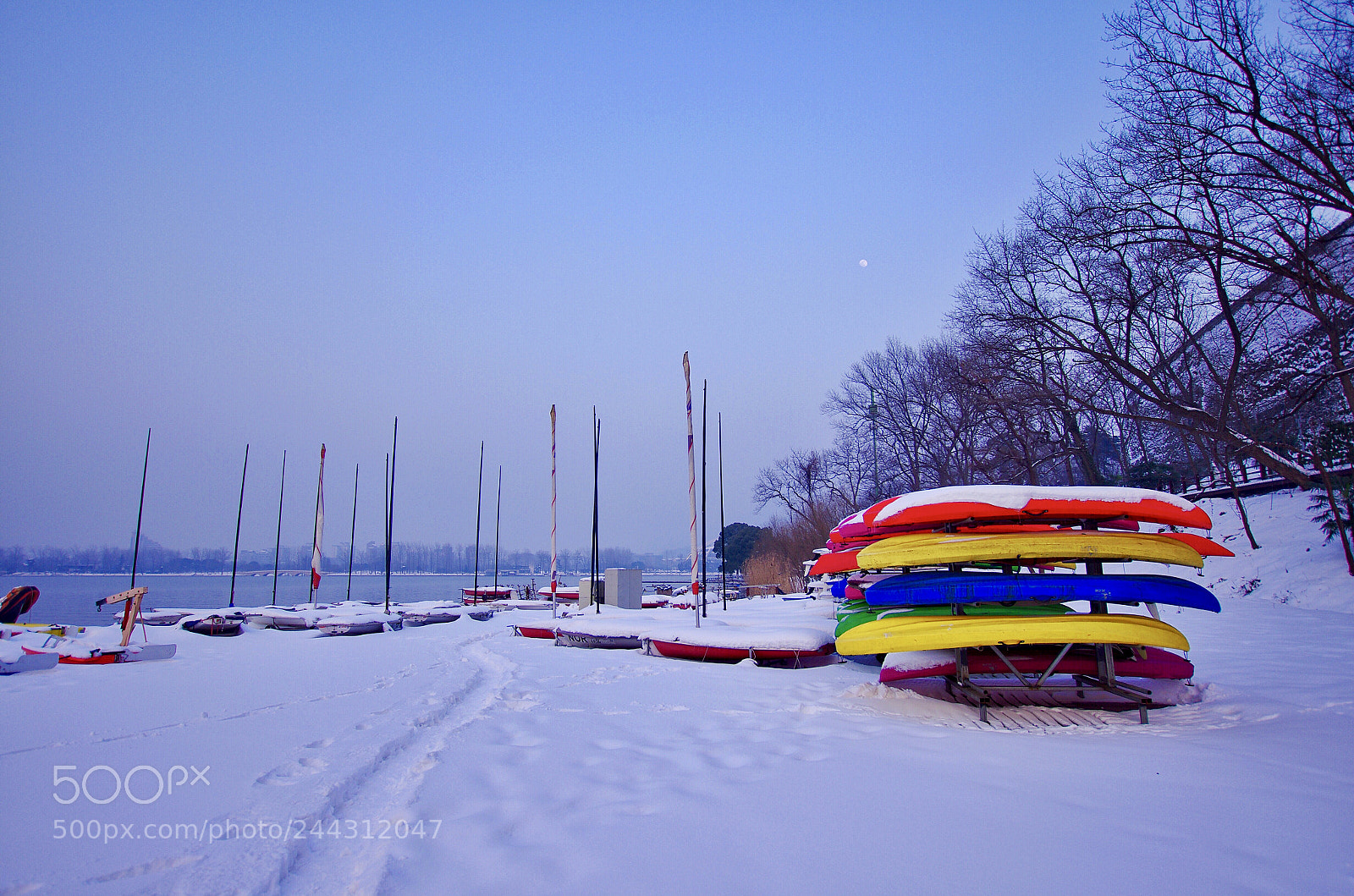 Pentax K-5 sample photo. Untitled photography