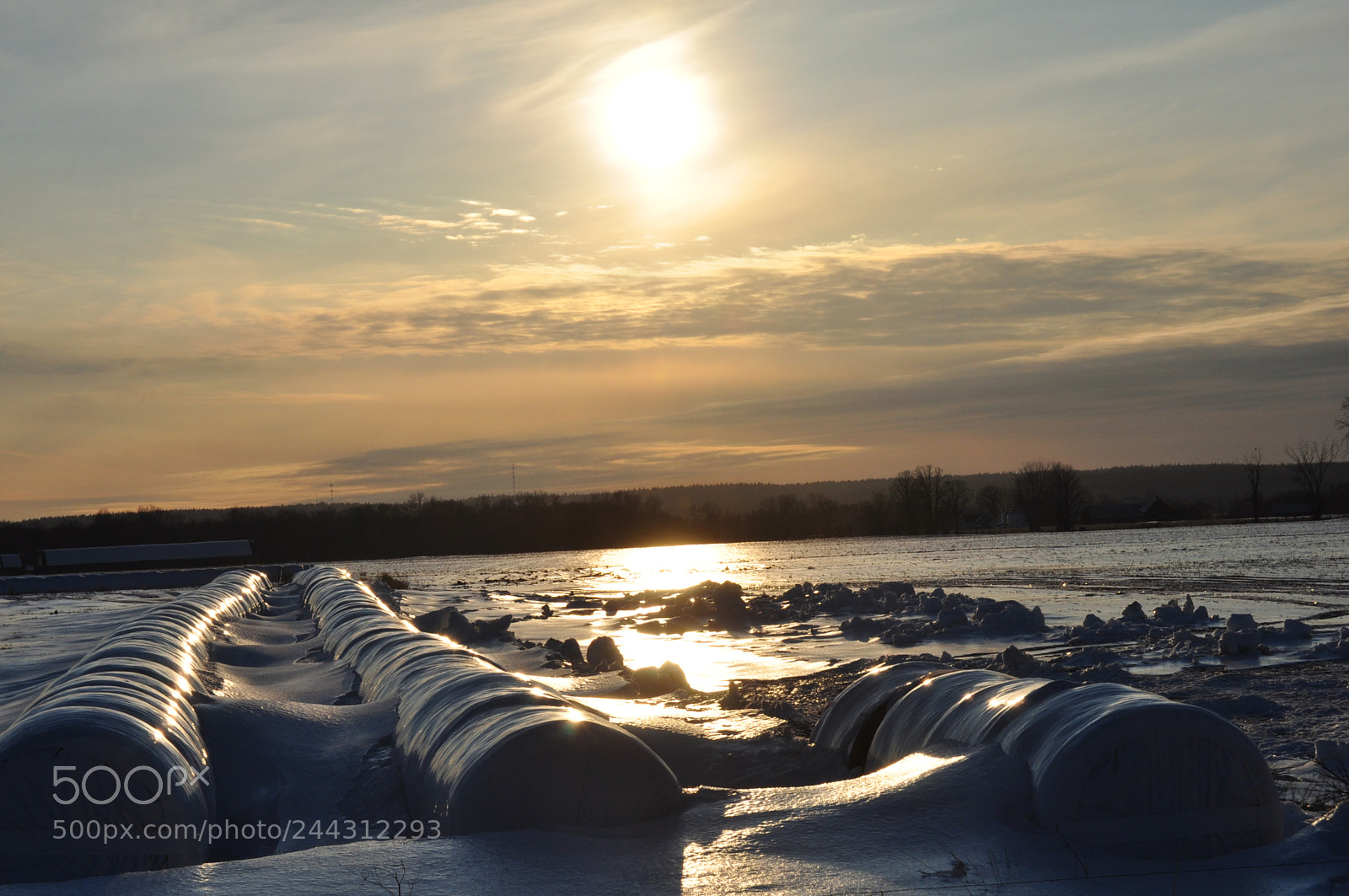 Nikon D5000 sample photo. Icy hay photography