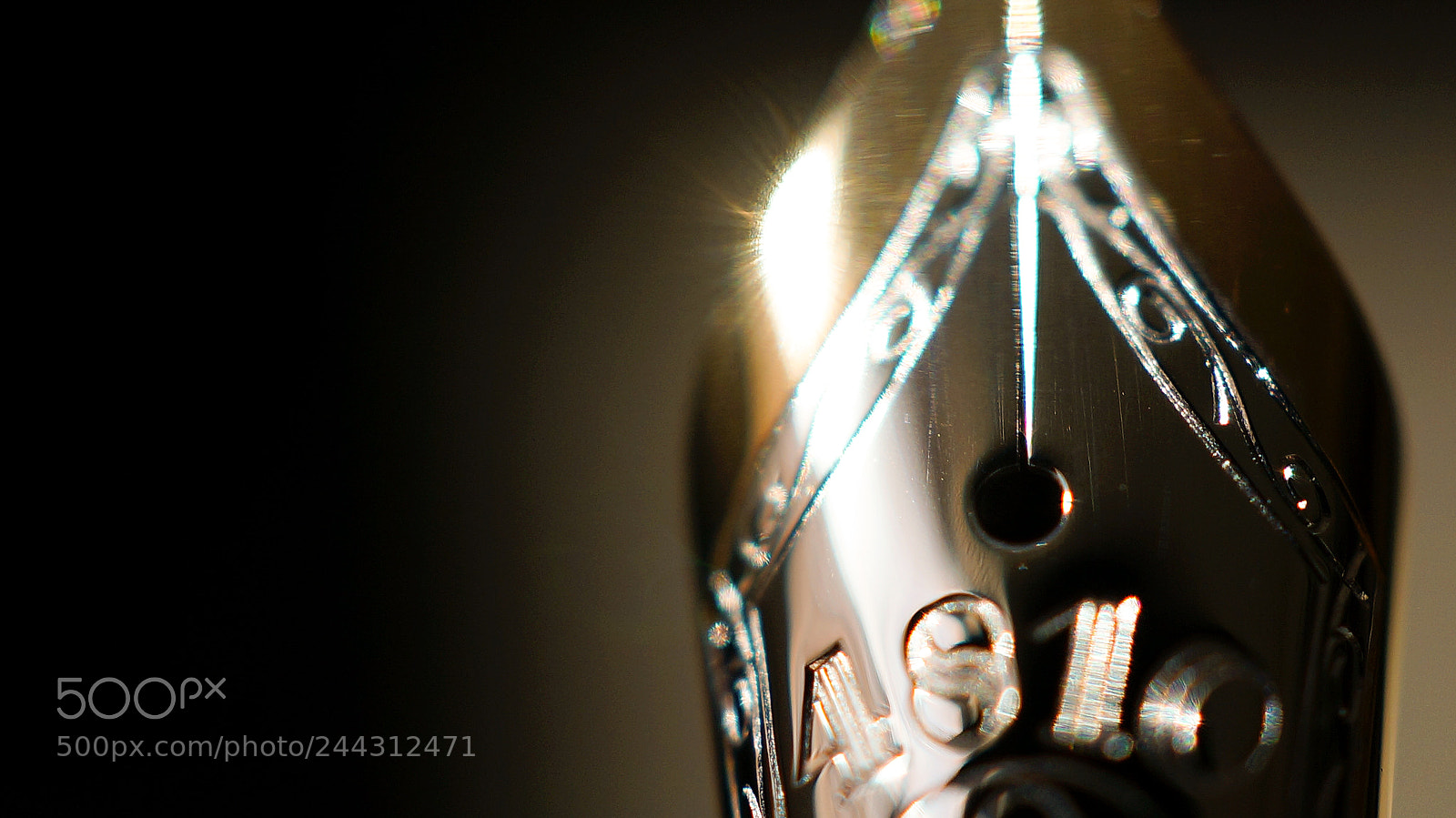 Sony Alpha NEX-5R sample photo. A fine instrument photography