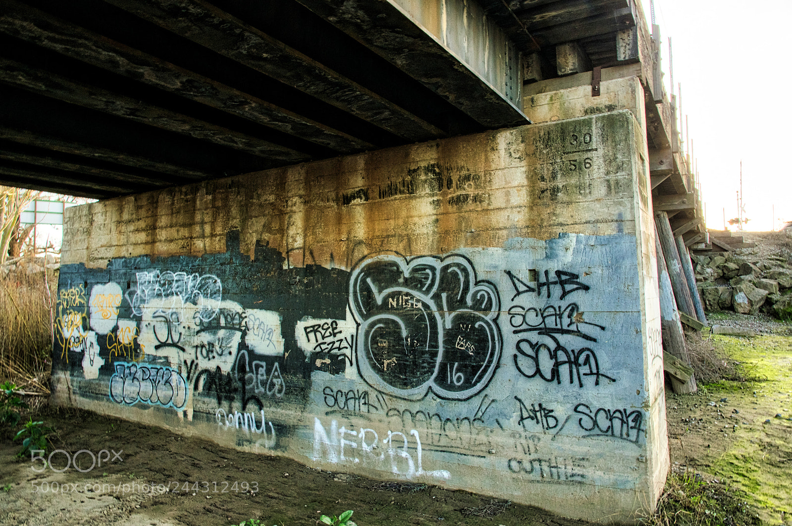 Pentax K-3 II sample photo. Bridge photography
