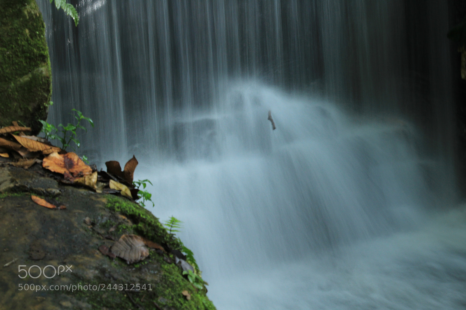Canon EOS 1300D (EOS Rebel T6 / EOS Kiss X80) sample photo. The small iguazu photography