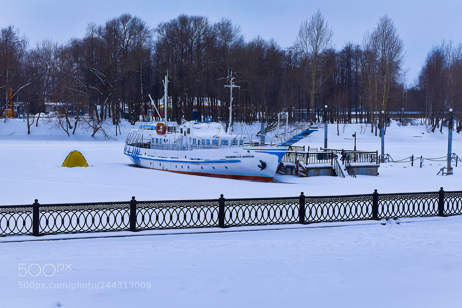 Canon EOS 1100D (EOS Rebel T3 / EOS Kiss X50) sample photo. Hibernation photography