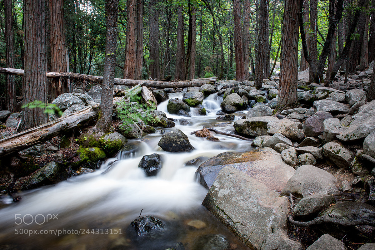 Nikon D600 sample photo. Bridel veil creek photography