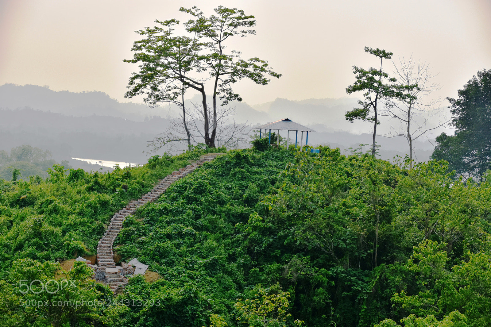 Nikon D7200 sample photo. Beautiful kaptai lake area photography