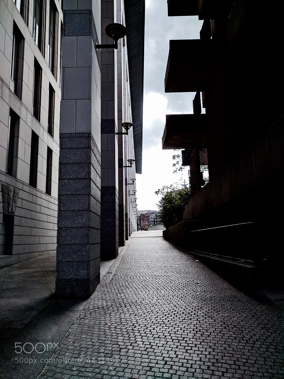 Google Nexus 6P sample photo. Pathway photography