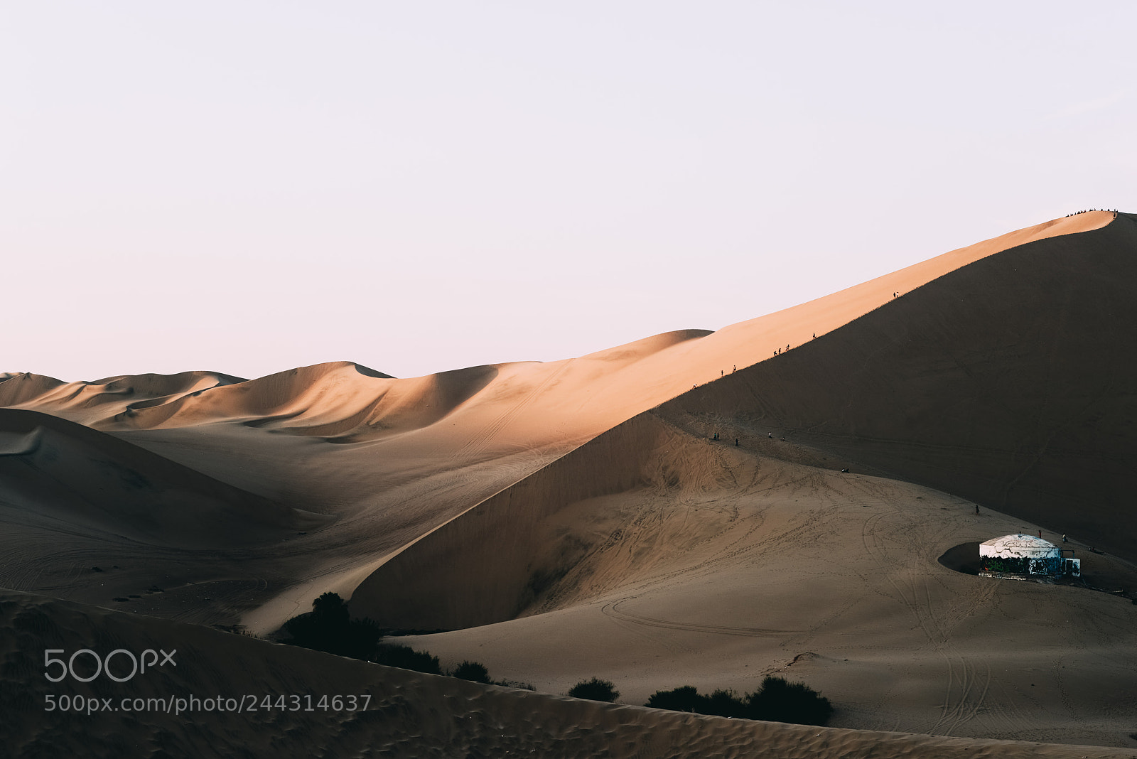 Nikon D800 sample photo. Dunes. photography
