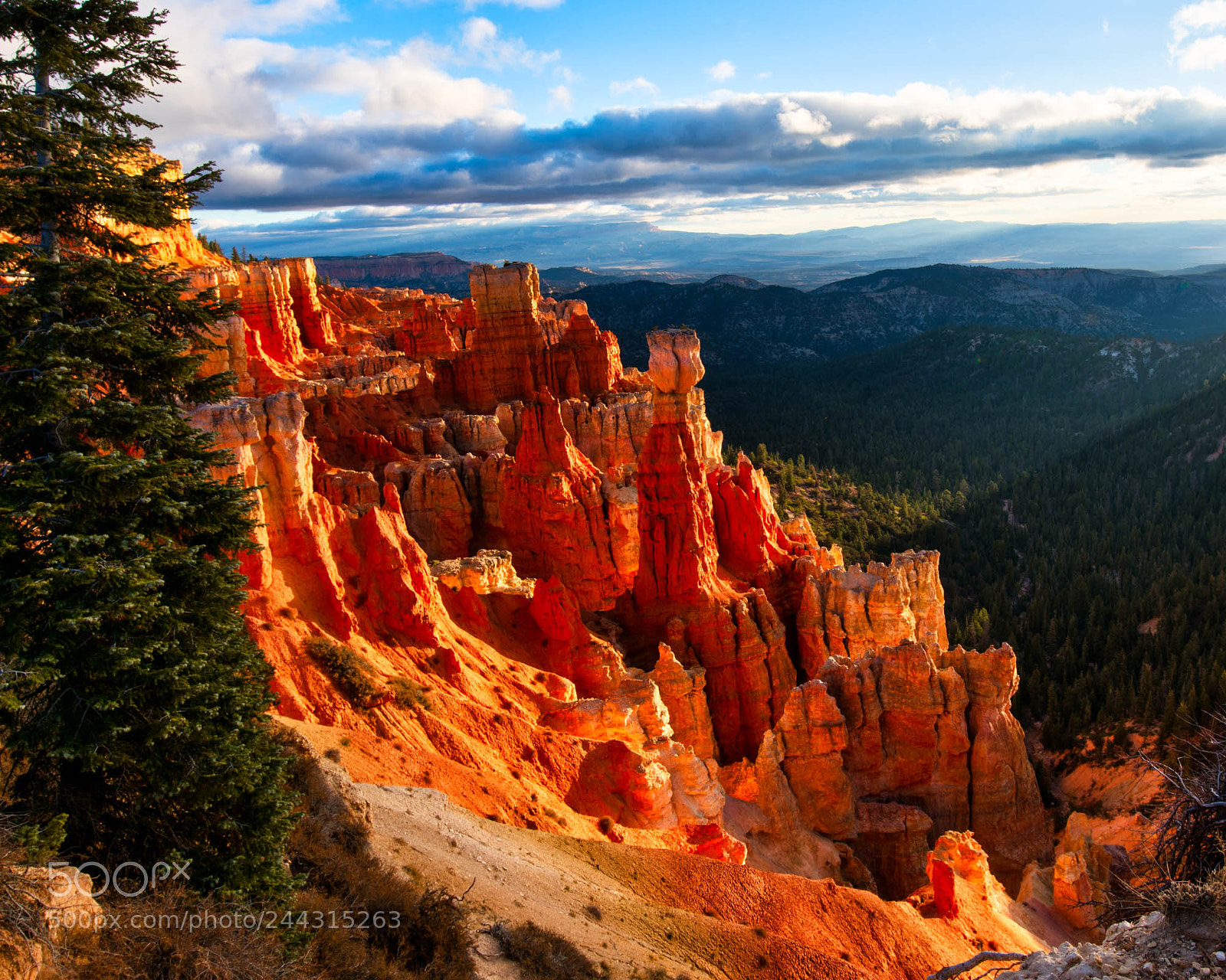 Sony a7R II sample photo. Bryce canyon photography