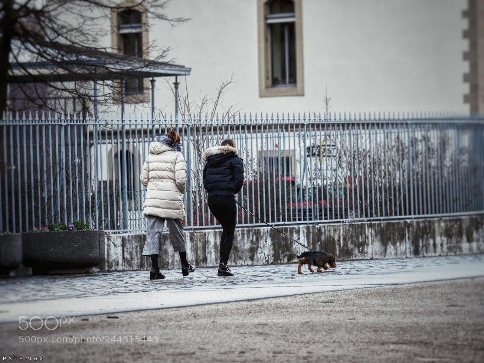 Olympus OM-D E-M1 sample photo. La promenade  photography