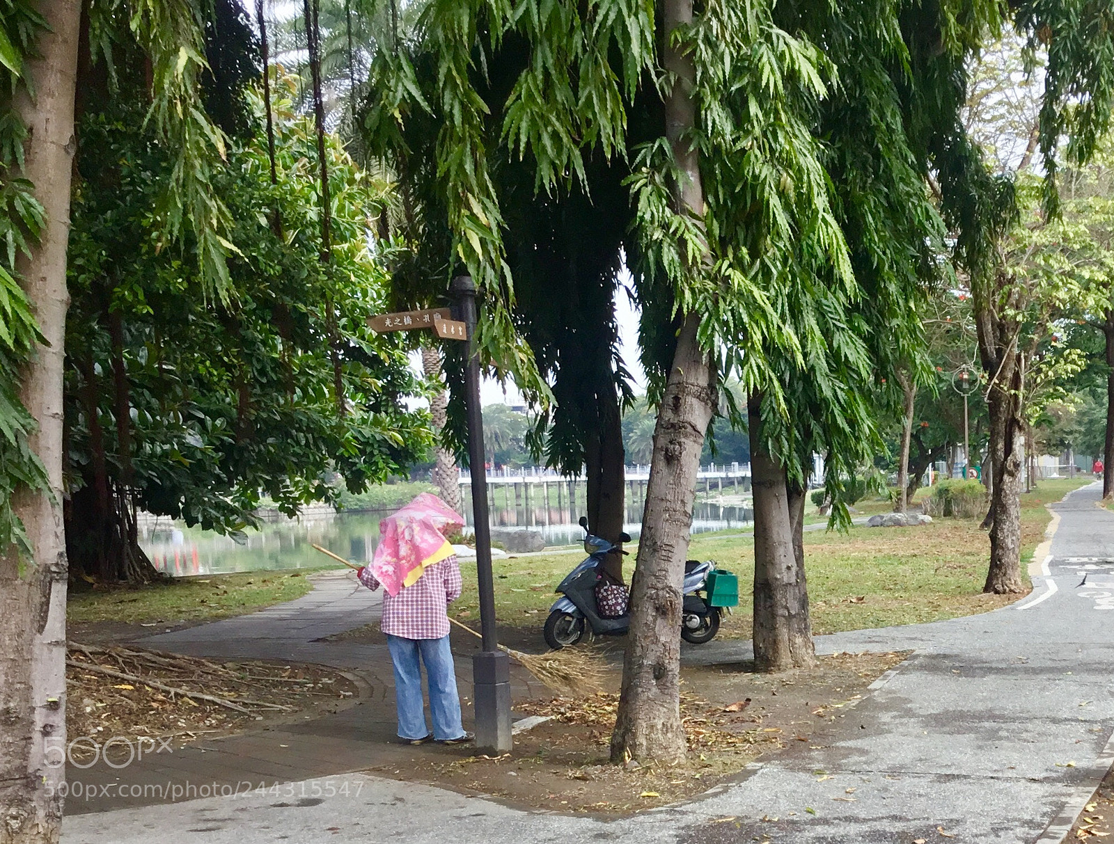 Apple iPad sample photo. She works hard for photography