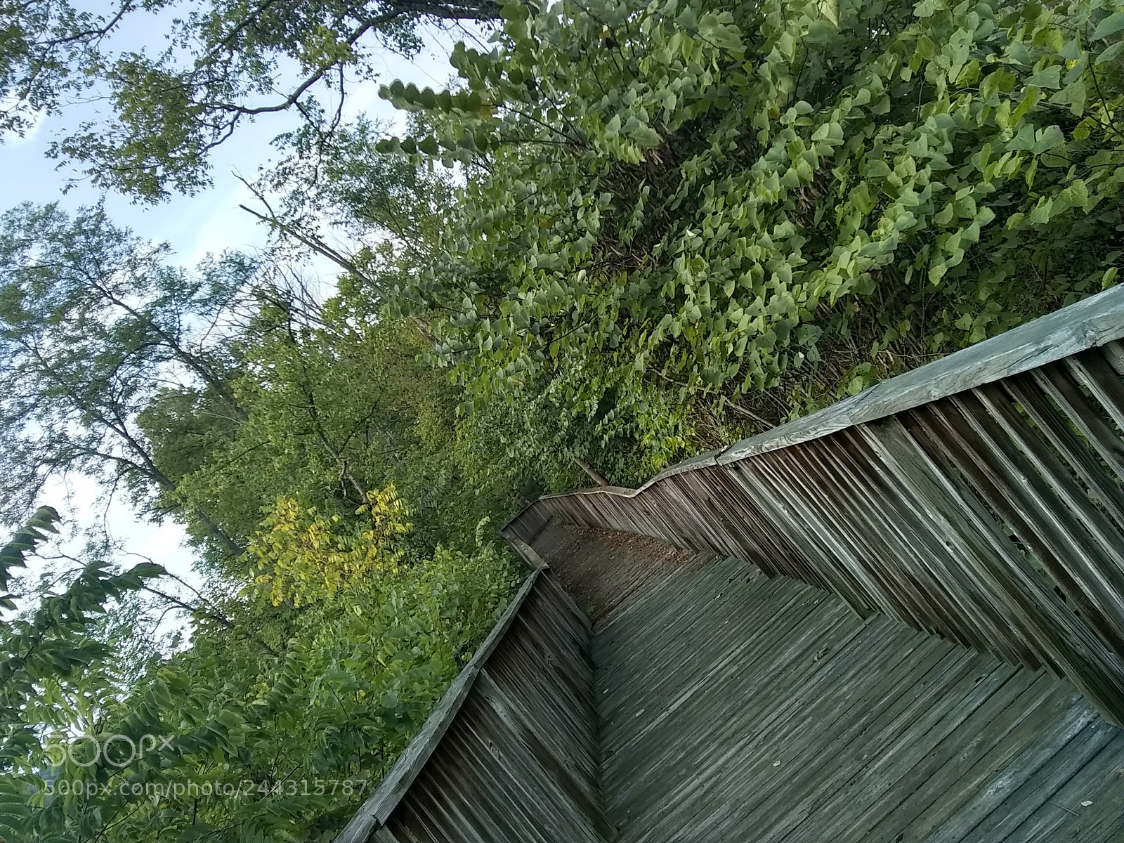 Motorola Moto E4 sample photo. Untitled photography